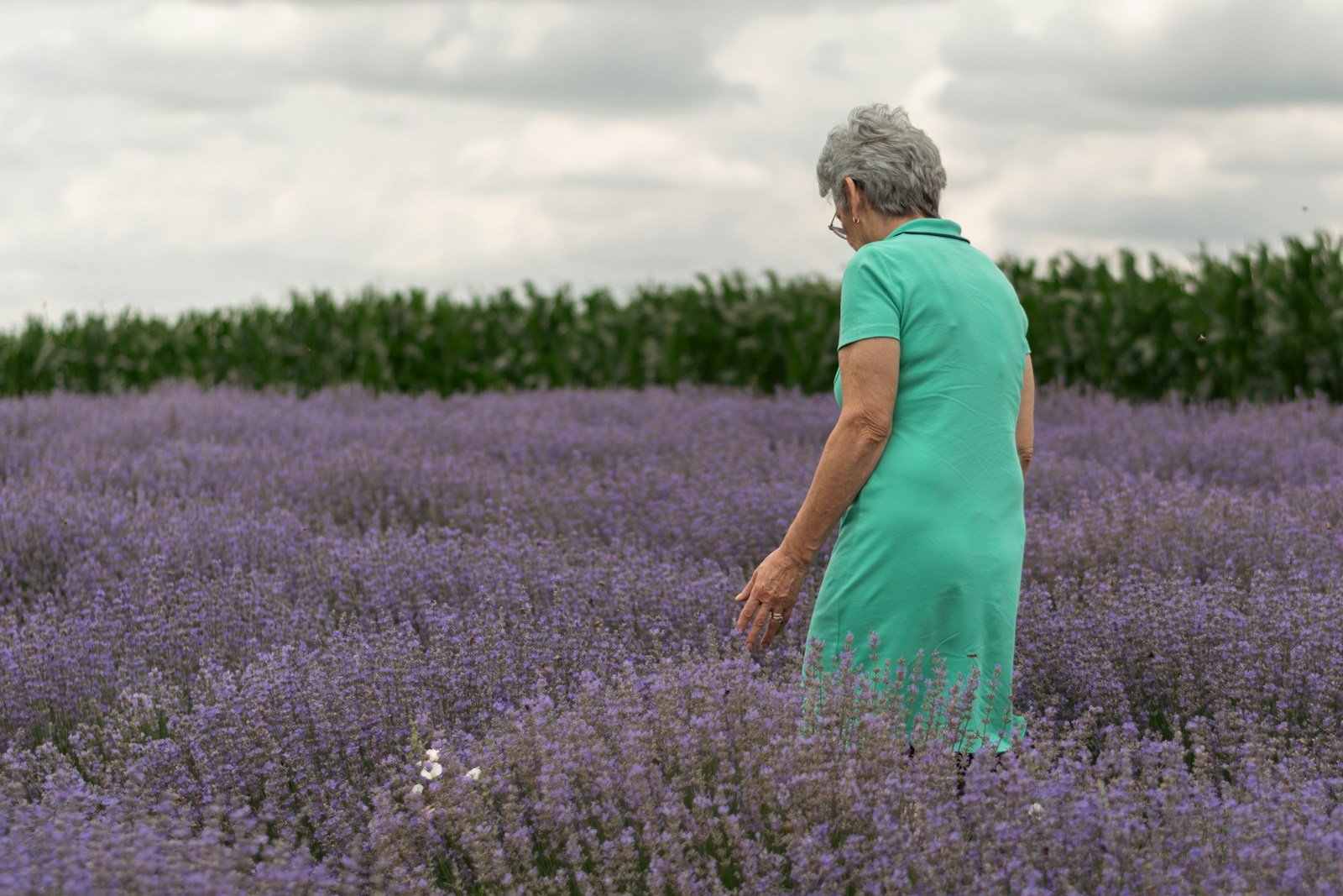 a woman in a field of lavender flowers