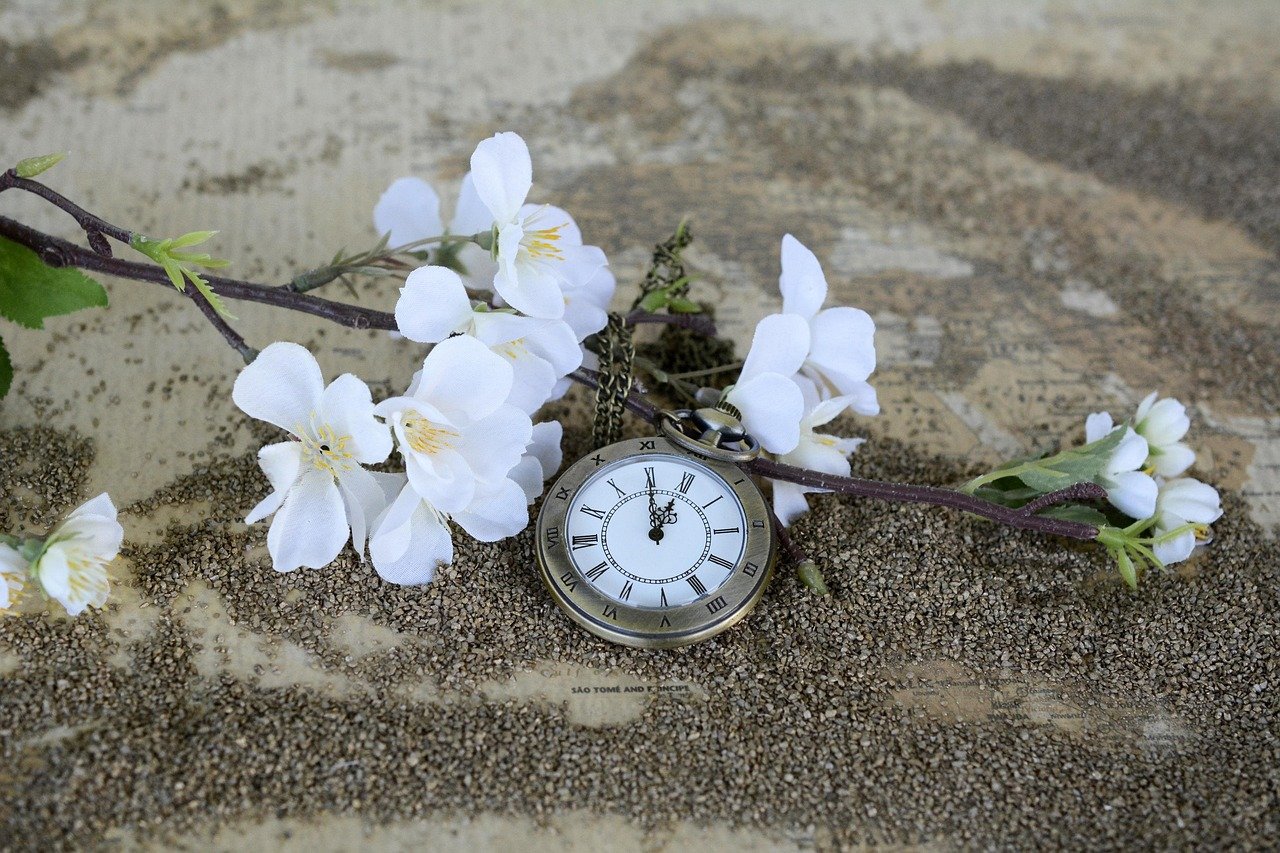 pocket watch, time, sand, map of the world, clock, clock face, pointer, nostalgia, antique, hours, minutes, timepiece, time display, close up, clock hands, retro look, watch chain, the eleventh hour, flowering branch, time, clock, clock, clock, clock, clock