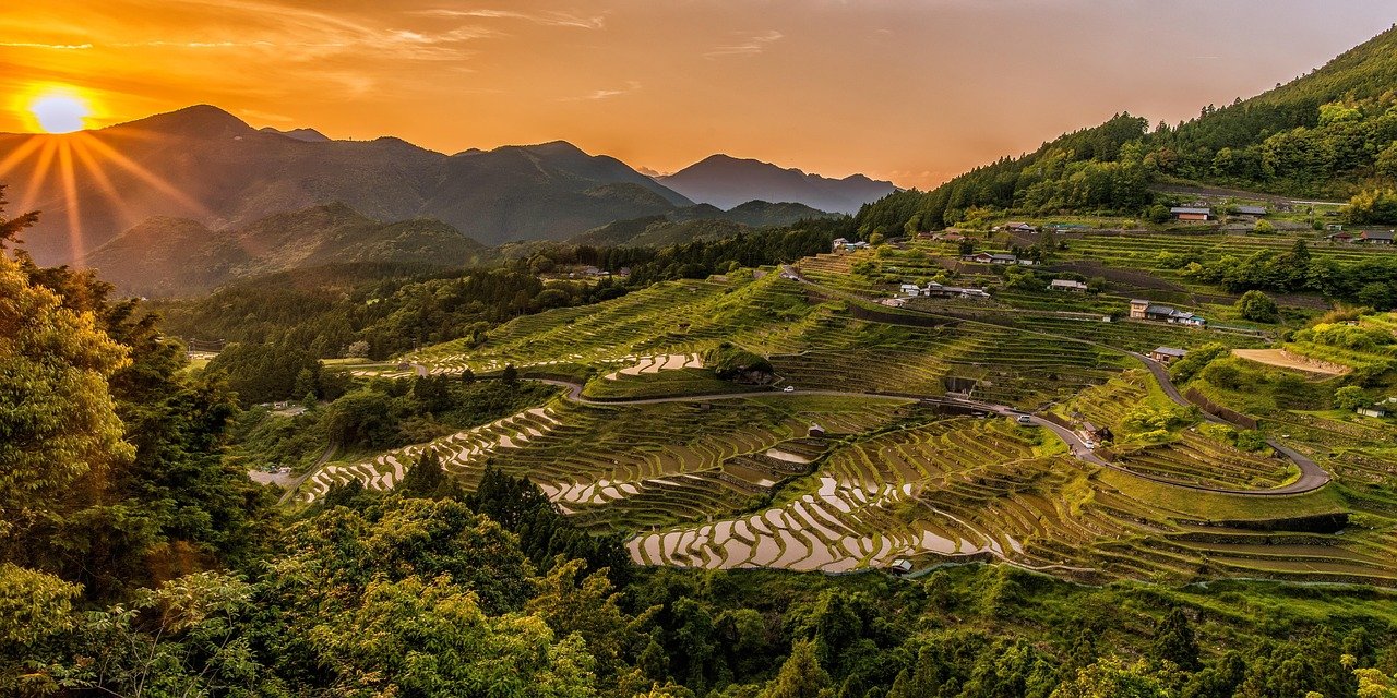 rice terraces, sunset, mountains, rice paddies, farm, farming, rice farm, plantation, agriculture, landscape, nature, maruyama senmaida, japan, panorama, panoramic, farm, farm, farming, agriculture, agriculture, japan, japan, japan, japan, japan