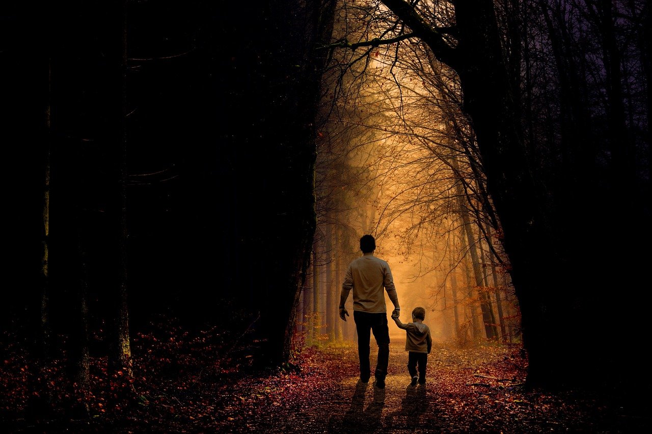 father, son, walking, child, boy, family, parent, kid, dad, childhood, holding hands, dusk, twilight, forest, nature, trees, father, father, father, father, walking, child, boy, family, family, family, family, family, dad