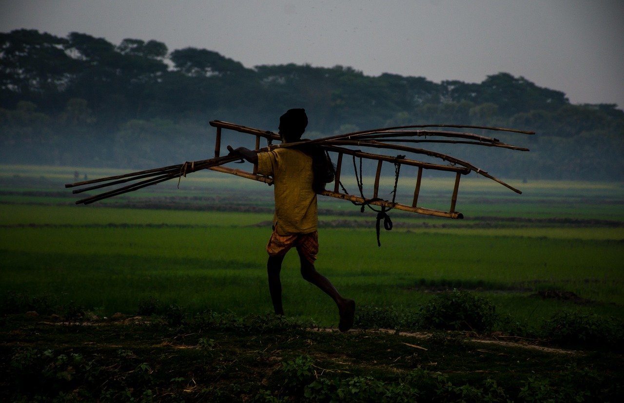 landscape, old, man, working, evening, time, hard, work