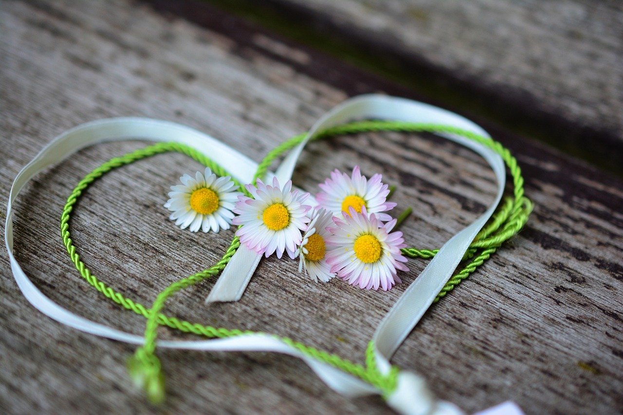 daisy, heart, flower background, romance, nature, beautiful flowers, valentine's day, love, spring, flower wallpaper, greeting, heart-shaped, friendship, symbol, love symbol, flower, pink daisy, heart shape, in love, affection, deco, bands