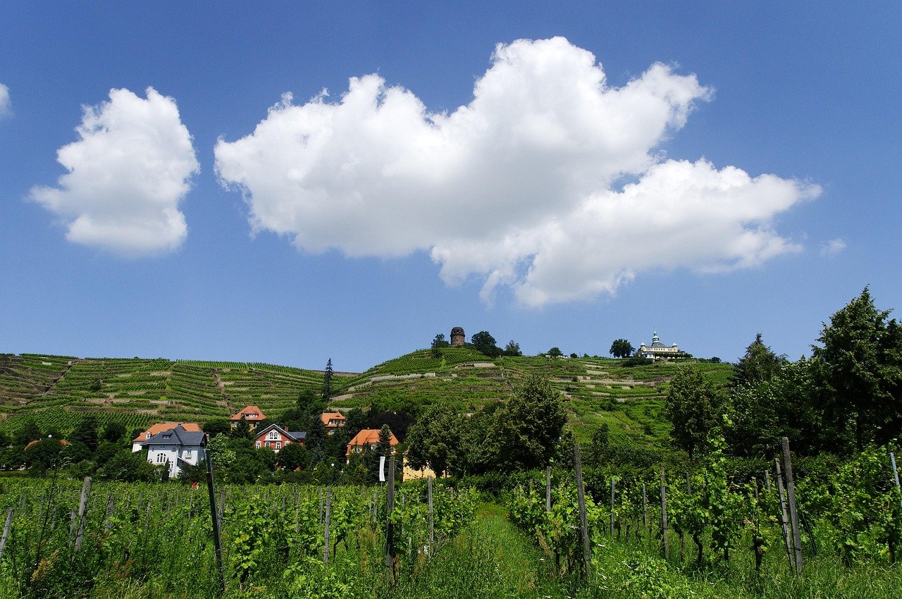 village, radebeul, saxony, nature, vineyards, elbe valley, blue sky, clouds, vilage
