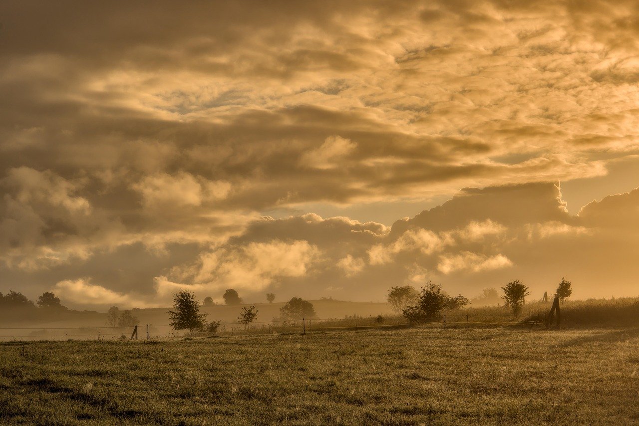 field, pasture, meadow, morning mood, haze, landscape, nature, clouds, mood, early fog, morning hours, good morning, sunrise