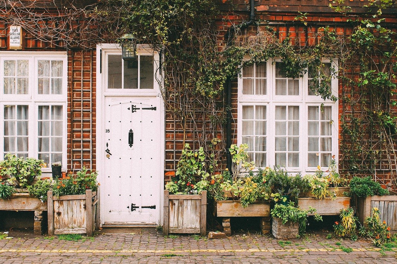 house, home, door, sidewalk, cobblestone, bricks, vines, nature, plants, brown home, brown house, brown plant, brown door, brown plants