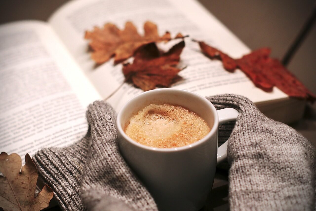 drink, coffee, food, leaves, autumn, book, nature, sweater, mug, relaxation, coffee cup, cozy