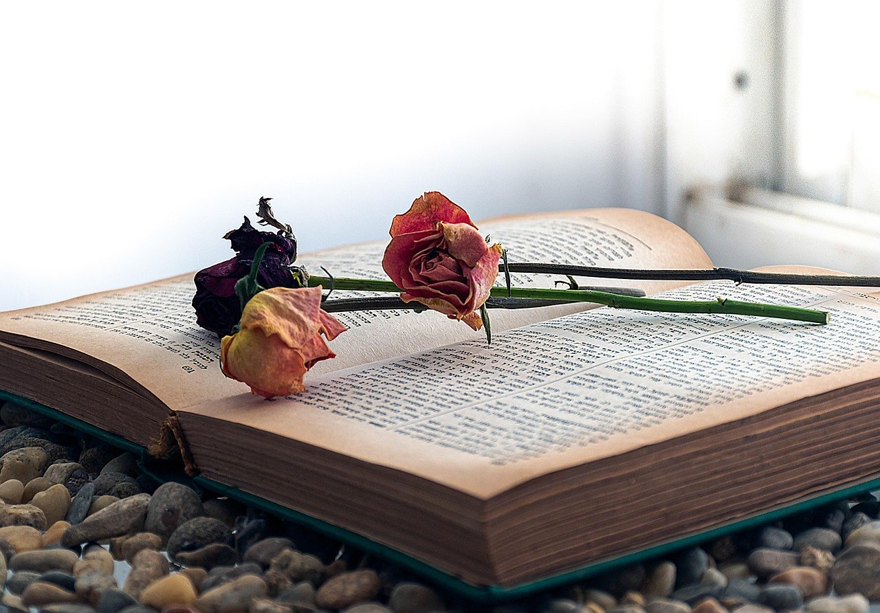 book, mac wallpaper, roses, read, literature, 4k wallpaper, wisdom, laptop wallpaper, free wallpaper, window, wallpaper hd, wallpaper, free background, faded roses, left alone, romanticism, open window, desktop backgrounds, rose ruffle, open book, windows wallpaper, hd wallpaper, beautiful wallpaper, 4k wallpaper 1920x1080, novel, perfect morning, post card, book day, android wallpaper, full hd wallpaper, floral arrangment, book and roses, cool backgrounds, hebrew text, on the spot, artsy, day off, wallpaper 4k, book and flower