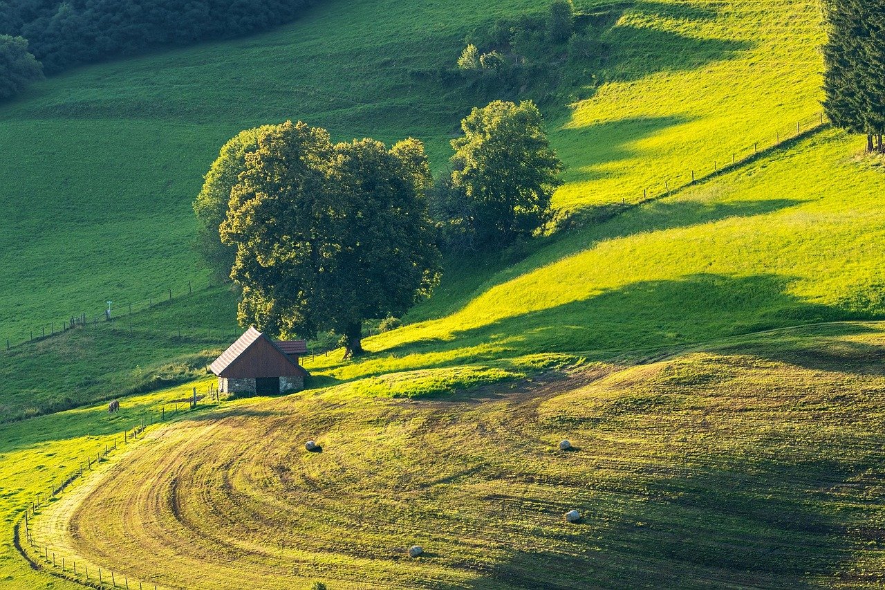 landscape, field, meadow, farm yard, house, tree, nature, green, lavanttal, carinthia, landscape, landscape, landscape, landscape, landscape