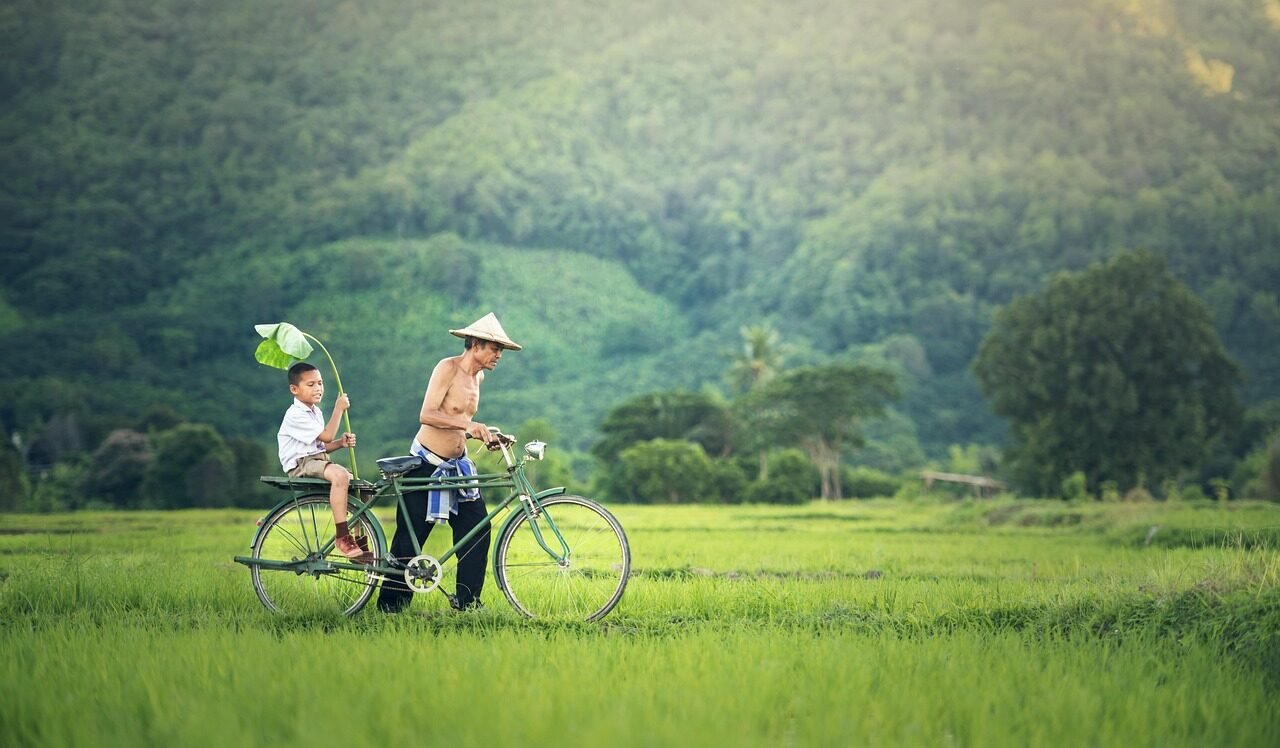 bicycle, cambodia, outside, myanmar, burma, family, thailand, vietnamese, father, son, meadow, wetlands, fathers day, cambodia, family, family, family, family, family, thailand, father, father, fathers day