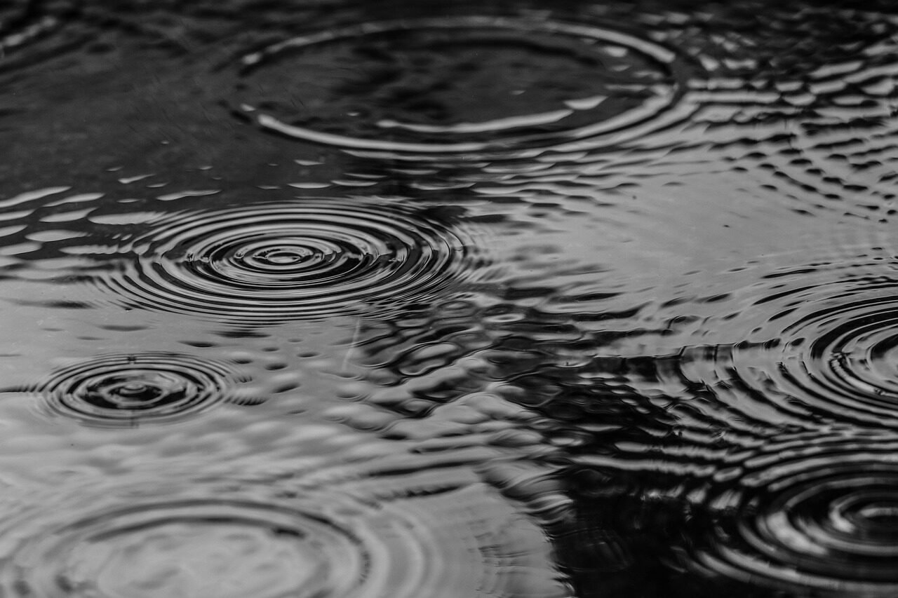 puddle, water, rain, splash, nature, monochrome
