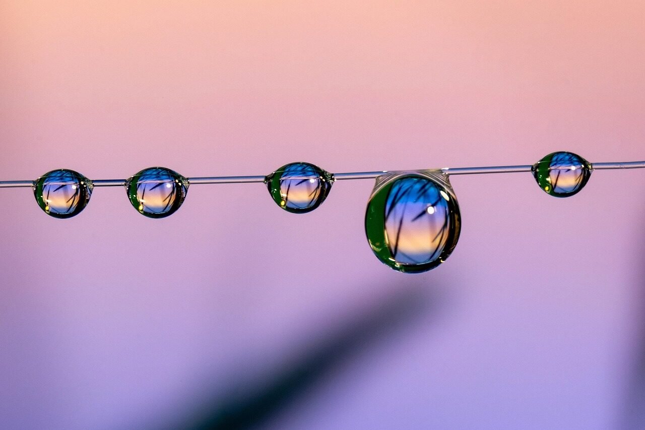 home studios, home studio, marco, nature, macro, sunset