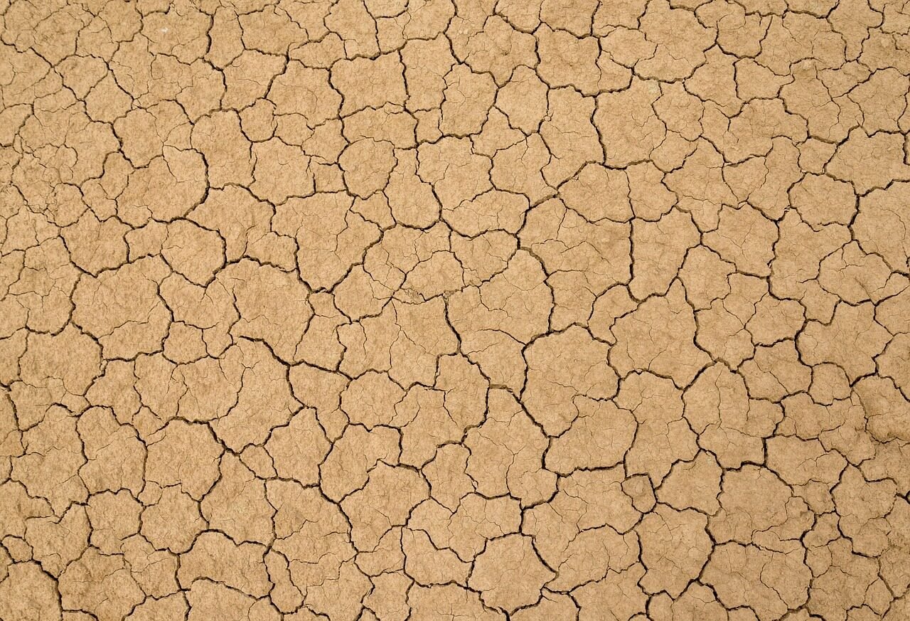 soil, cracks, clay, earth, dry, desert, ground, dirt, texture, mud, crack, nature, cracked, land, dehydrated, broken, surface, terrain, environment, soil, soil, soil, soil, cracks, cracks, clay, earth, earth, desert, ground, ground, ground, dirt, dirt, dirt, dirt, dirt, texture, mud, mud, mud, crack, land, land, broken, environment