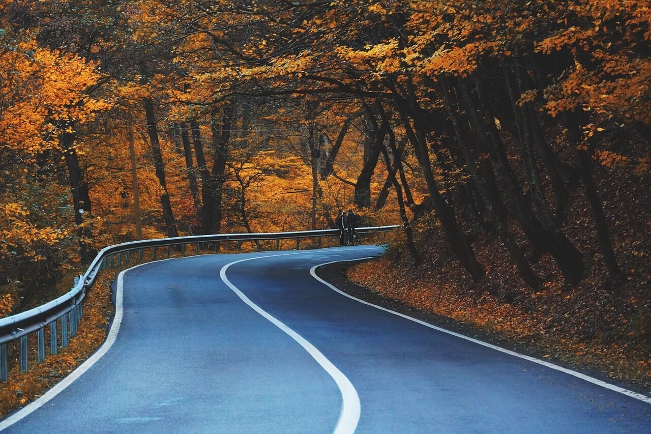 road, curve, trees, highway, leaves, avenue, lane, pavement, autumn, foliage, natural, forest, autumn leaves, autumn foliage, autumn colors, fall leaves, fall foliage, fall colors, nature, road, road, road, road, road, highway, highway, autumn