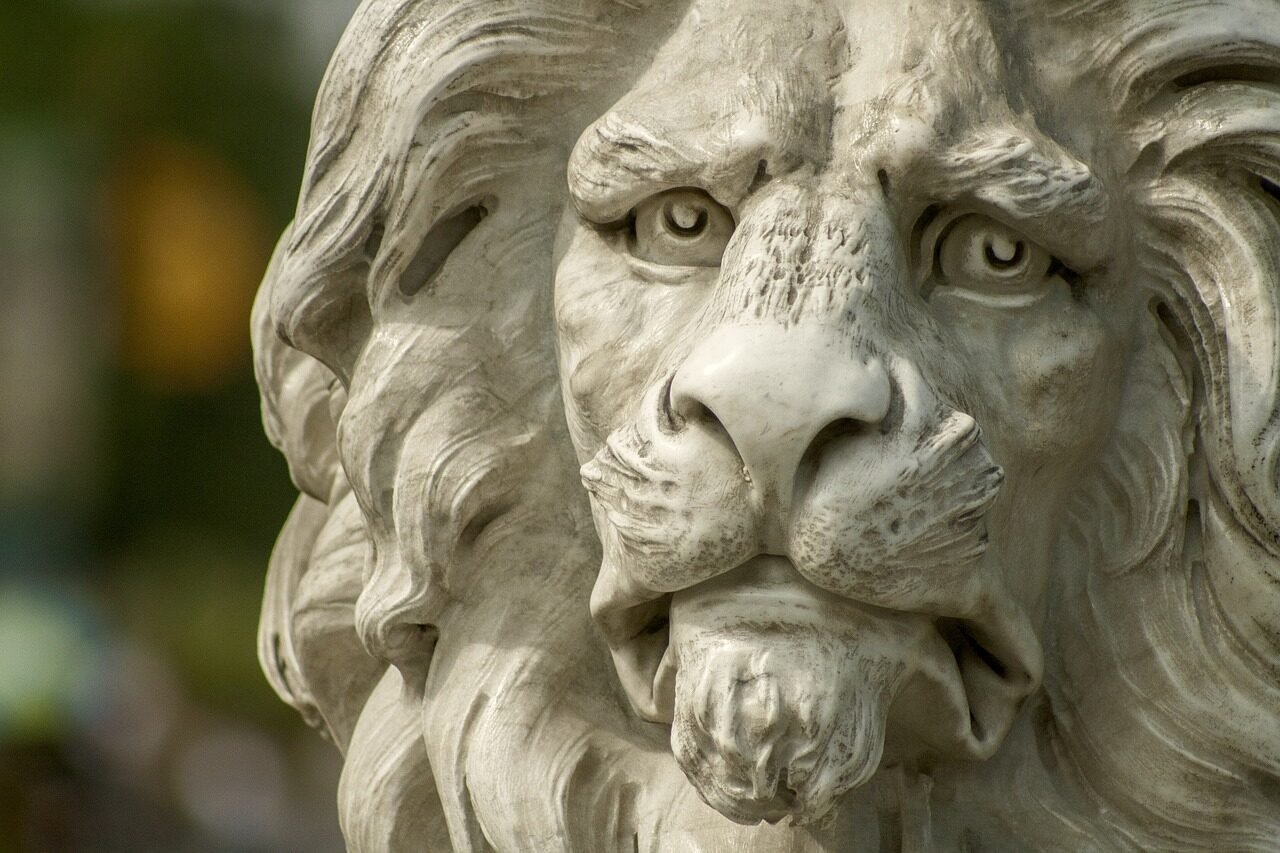 lion, statue, bust, animal, face, lion face, head, lion head, lion statue, lion sculpture, stone sculpture, art, nature, artwork, close up