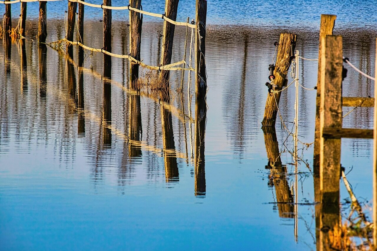 fence, flooding, water, flood, climate change, flood disaster, flooded, meadow, coupling, landscape, rural, nature, countryside