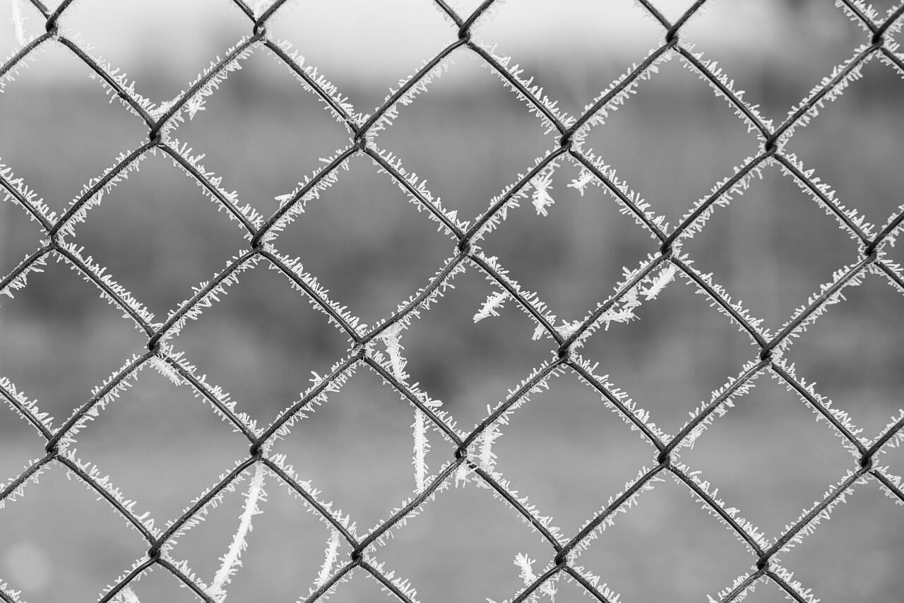 fence, bars, cold, winter, ice, grid, pattern, monochrome, frost, pattern, pattern, pattern, pattern, pattern