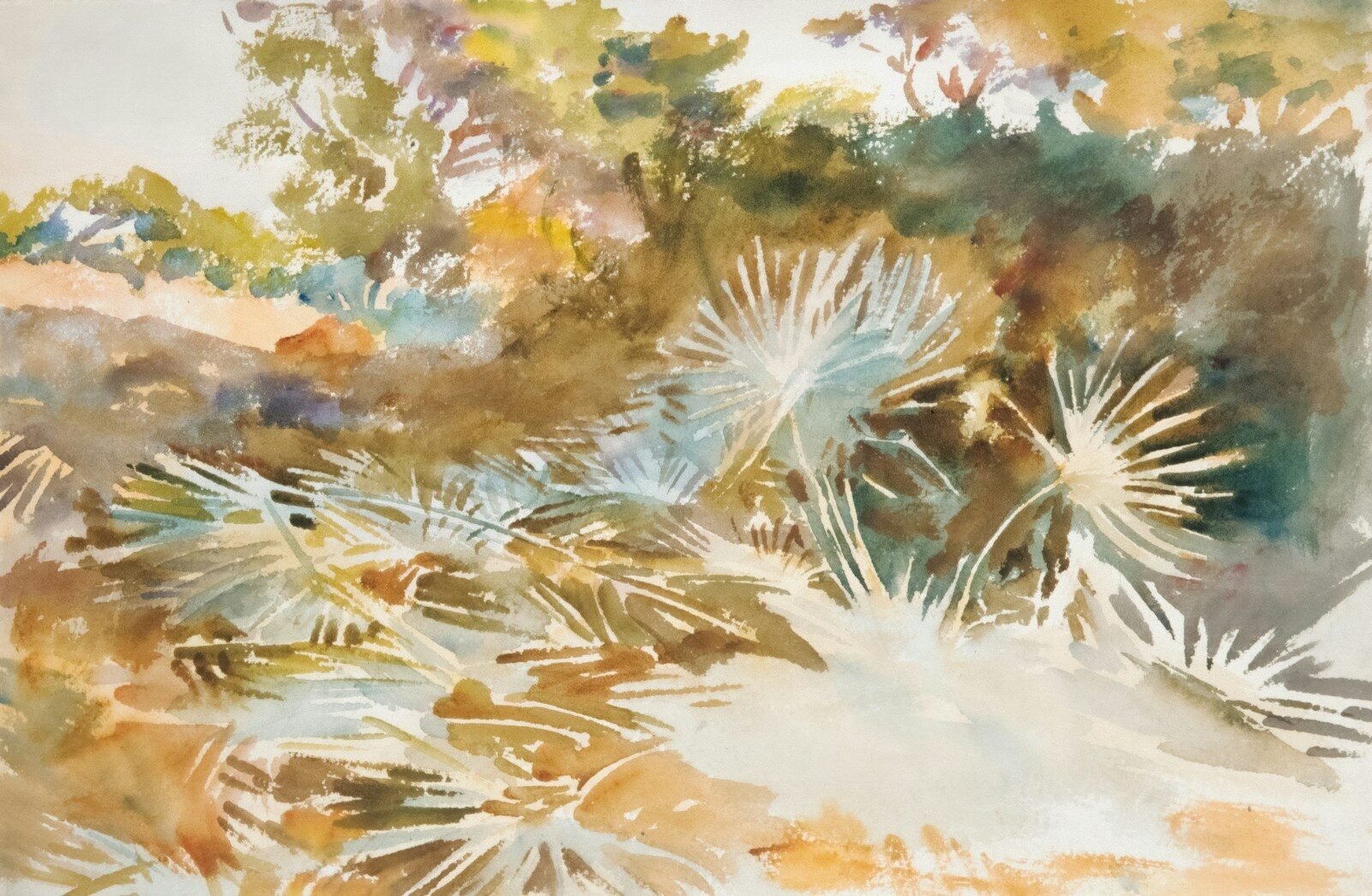 Watercolor painting of a desert landscape with fan-like plants.